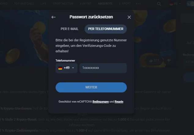 Übersicht der häufigsten Probleme beim Twin Login